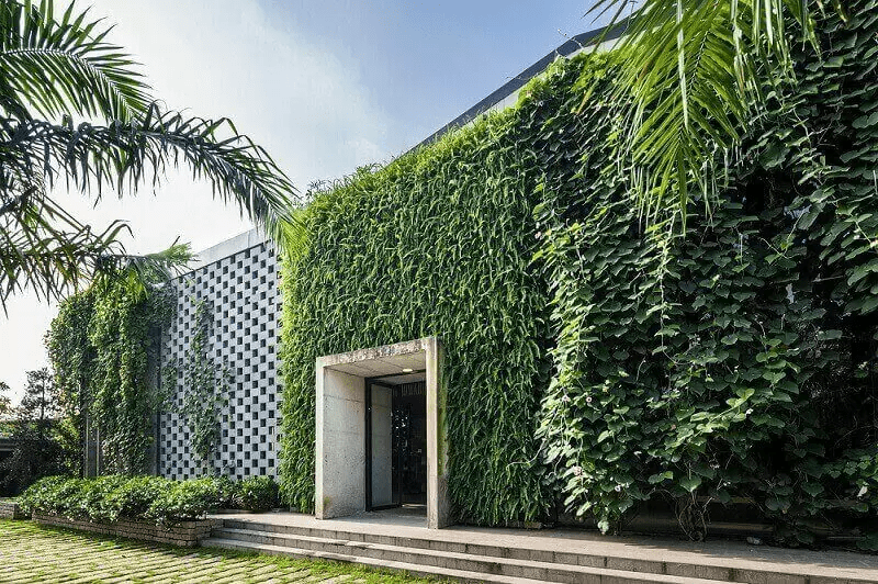 Trồng cây xanh để giúp tạo bóng râm, ngăn bụi, lọc không khí và chống nóng 